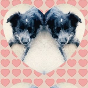 Meet your Posher, Becca